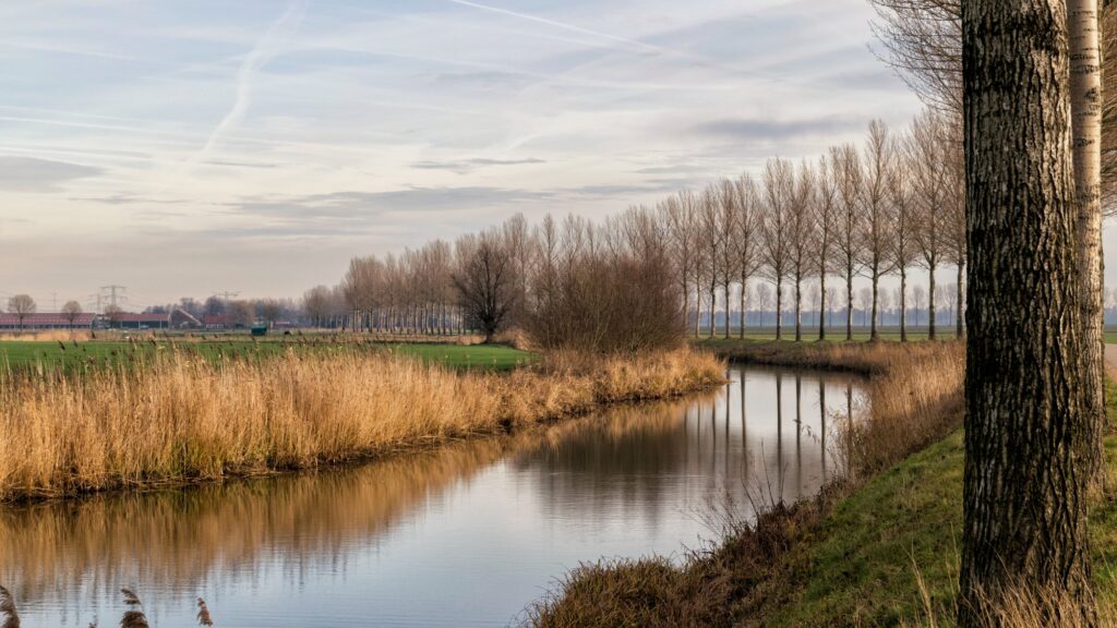 Nationaal Park De Biesbosch