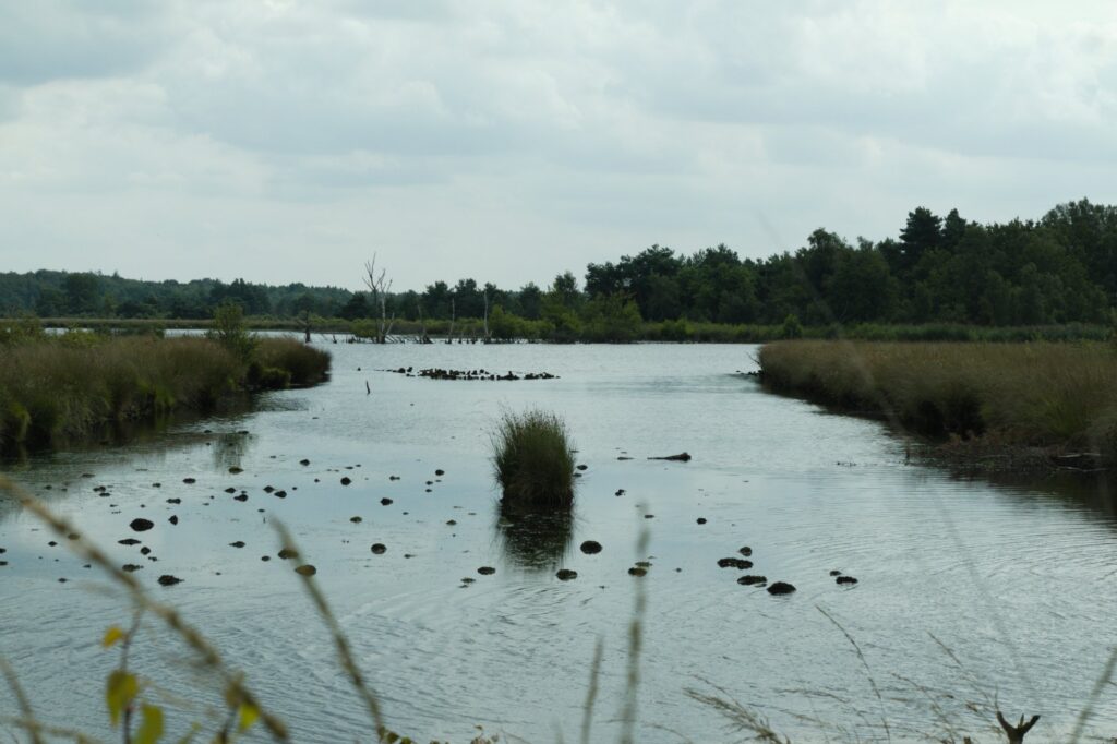 Fochteloërveen