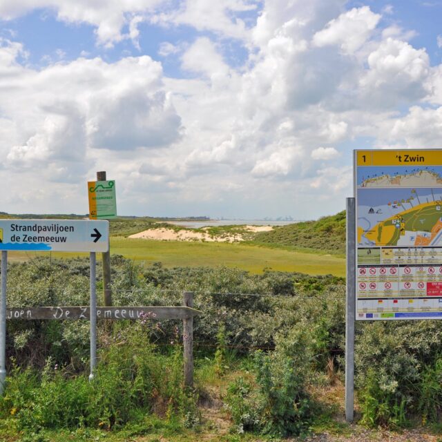 Getijdengebied Het Zwin in Zeeuws-Vlaanderen