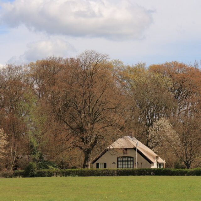 Bos- en heidelandschap in Kroondomein Het Loo