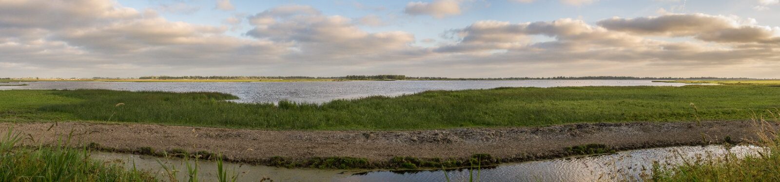 Landschap in Nationaal Park Lauwersmeer
