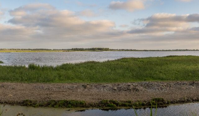 Landschap in Nationaal Park Lauwersmeer