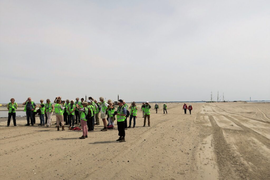 Marker Wadden