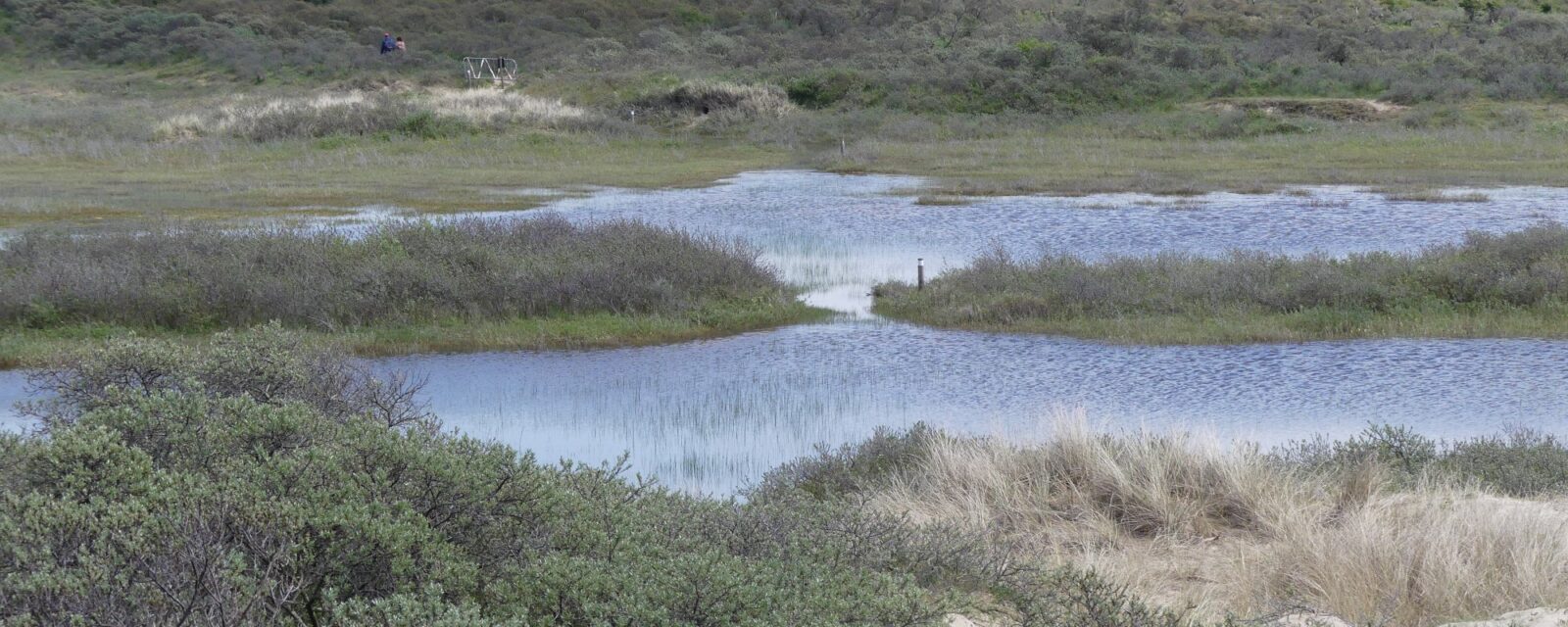Duinlandschap in Nationaal Park Zuid-Kennemerland