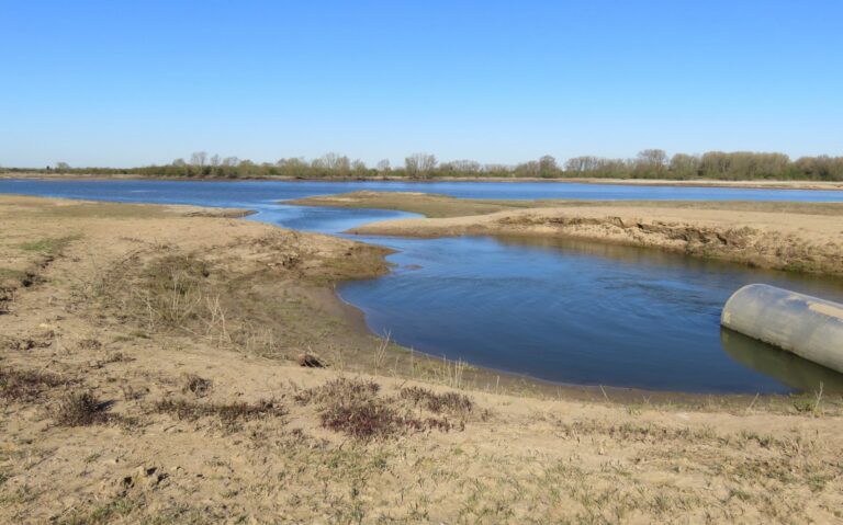 Strang bij laag water