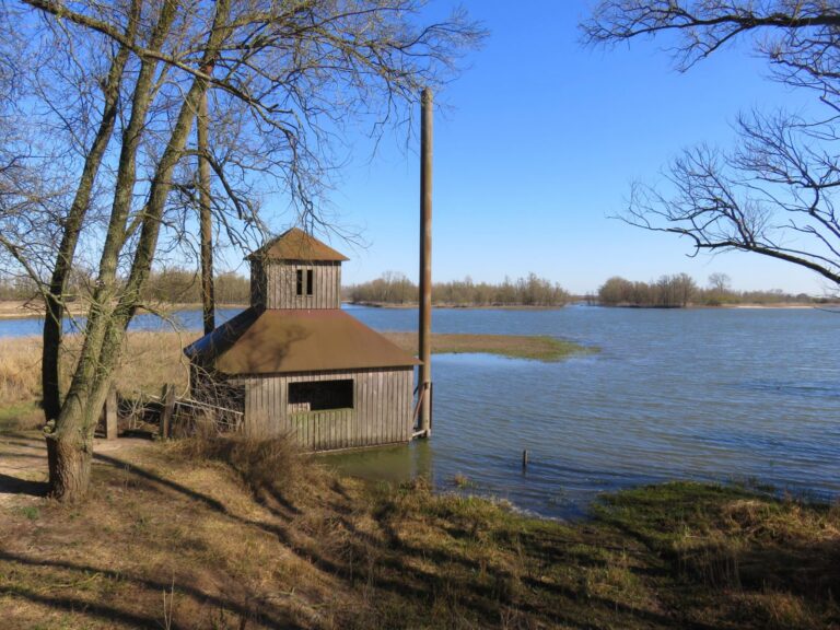 Vogelkijkhut Flevopost aan de strang