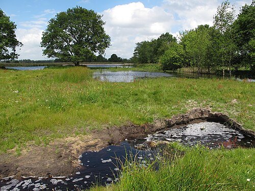 Een beekdal met open water