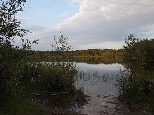 Het Canadameer tussen het bos