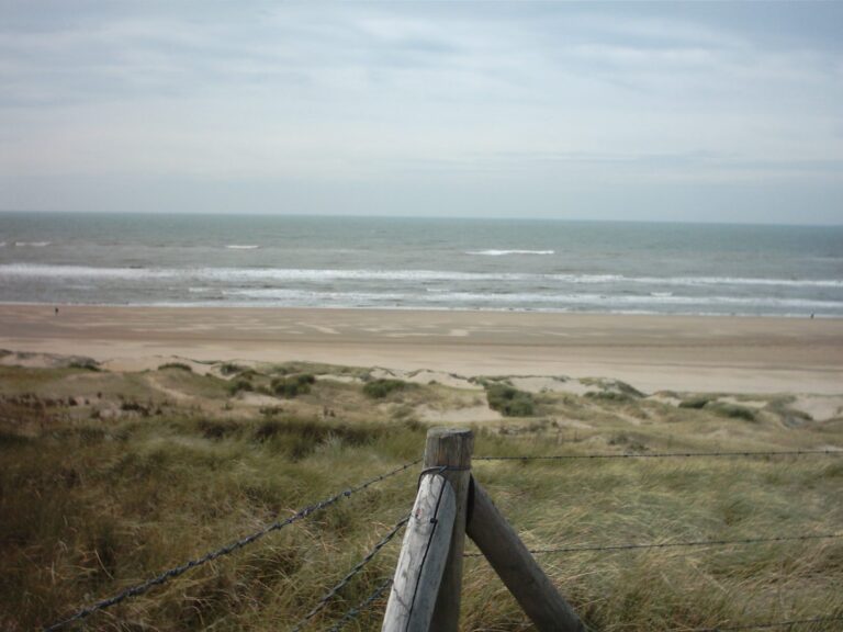 Duin en strand