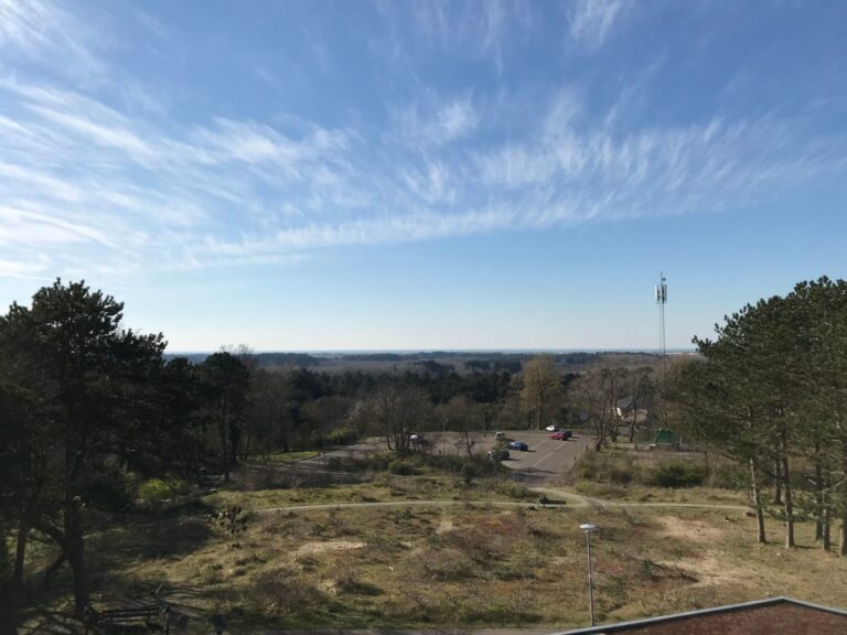 Uitzicht over de duinen vanaf het Kopje van Bloemendaal