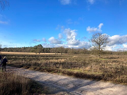 Zandpad over de open heide