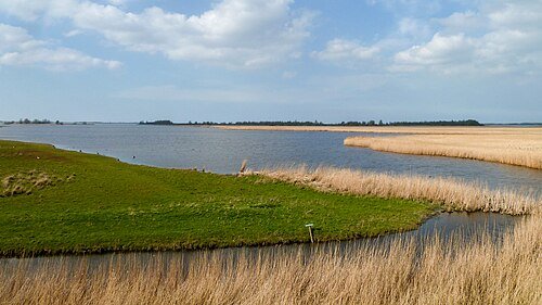 Het Blikplaatgat: water, riet en slikrand