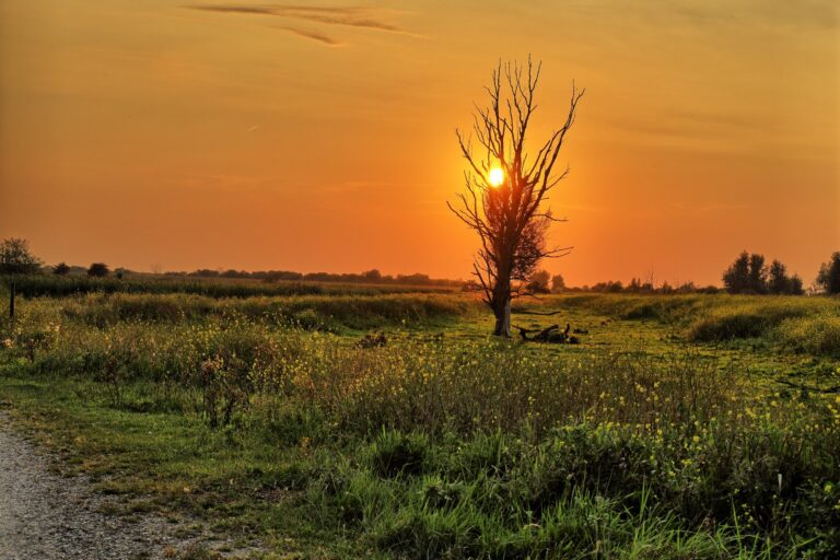Het open deel bij zonsondergang