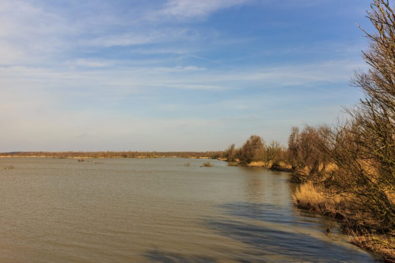 Uitzicht vanuit vogelkijkhut De Schollevaar