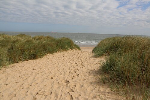 Duinovergang naar het strand bij het Zwin. Vanaf de zeedijk en de randen heb je het beste overzicht over de vlakte.