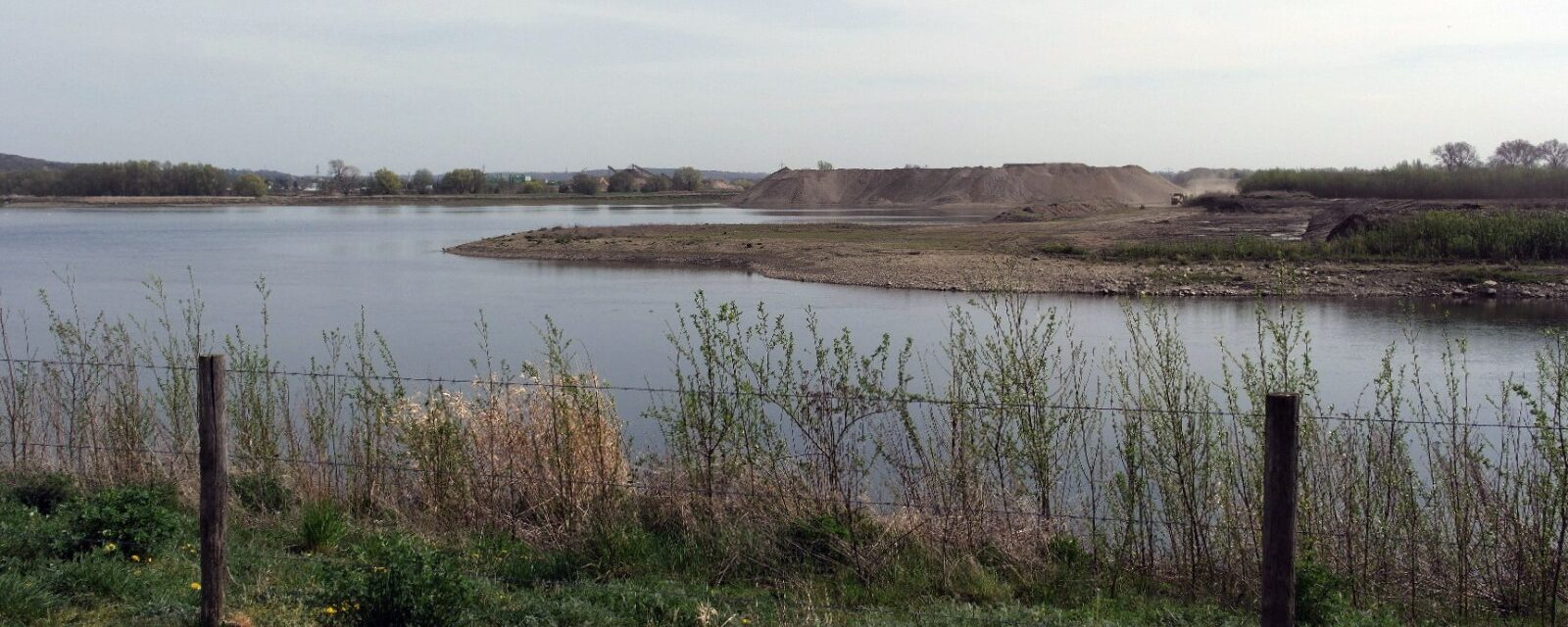 De Grensmaas met grind- en zandbanken langs de oever — het enige riviertraject van Nederland waar grind wordt verplaatst.