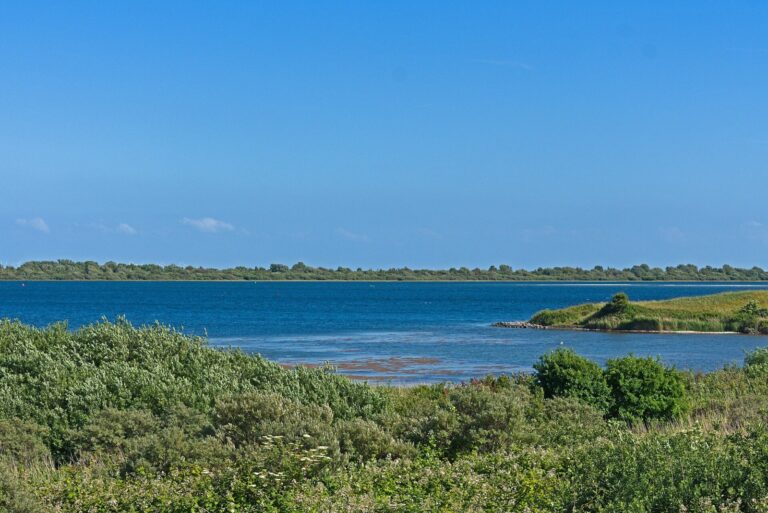 De Grevelingen bij Ouddorp: helder zout water tussen duinen en begroeide oevers.