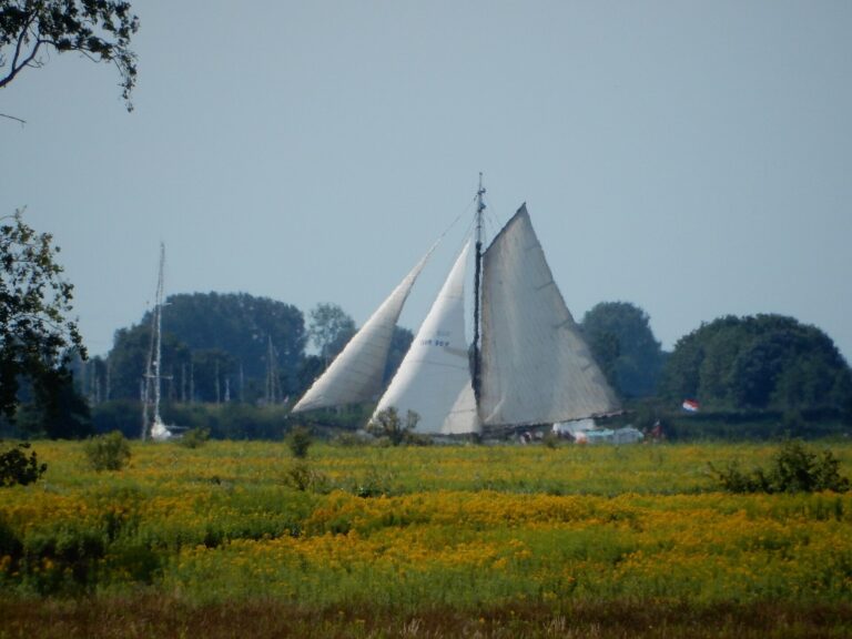 Een traditioneel zeilschip achter de rietkraag van Tiengemeten.