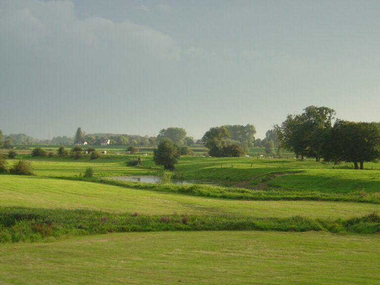 Uiterwaarden bij Olst: grasland dat bij hoogwater onderloopt, met de IJssel erachter.