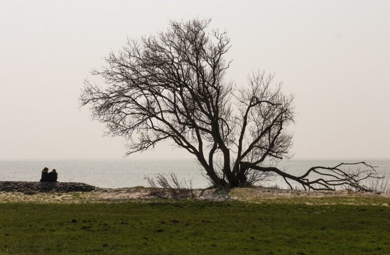 De oever van het IJsselmeer: ondiep water, een weidse horizon en nauwelijks beschutting.