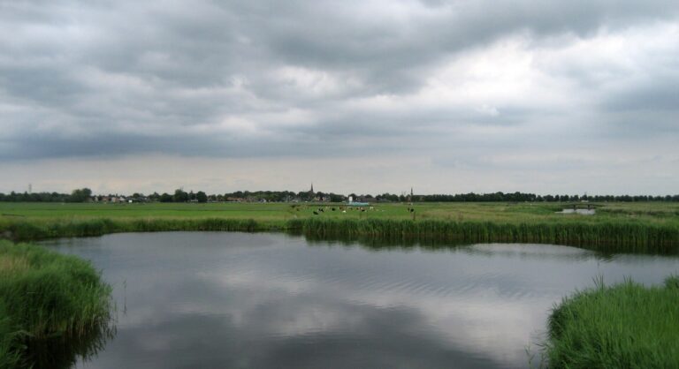 Het Ilperveld, met de kerk van Ilpendam op de achtergrond.