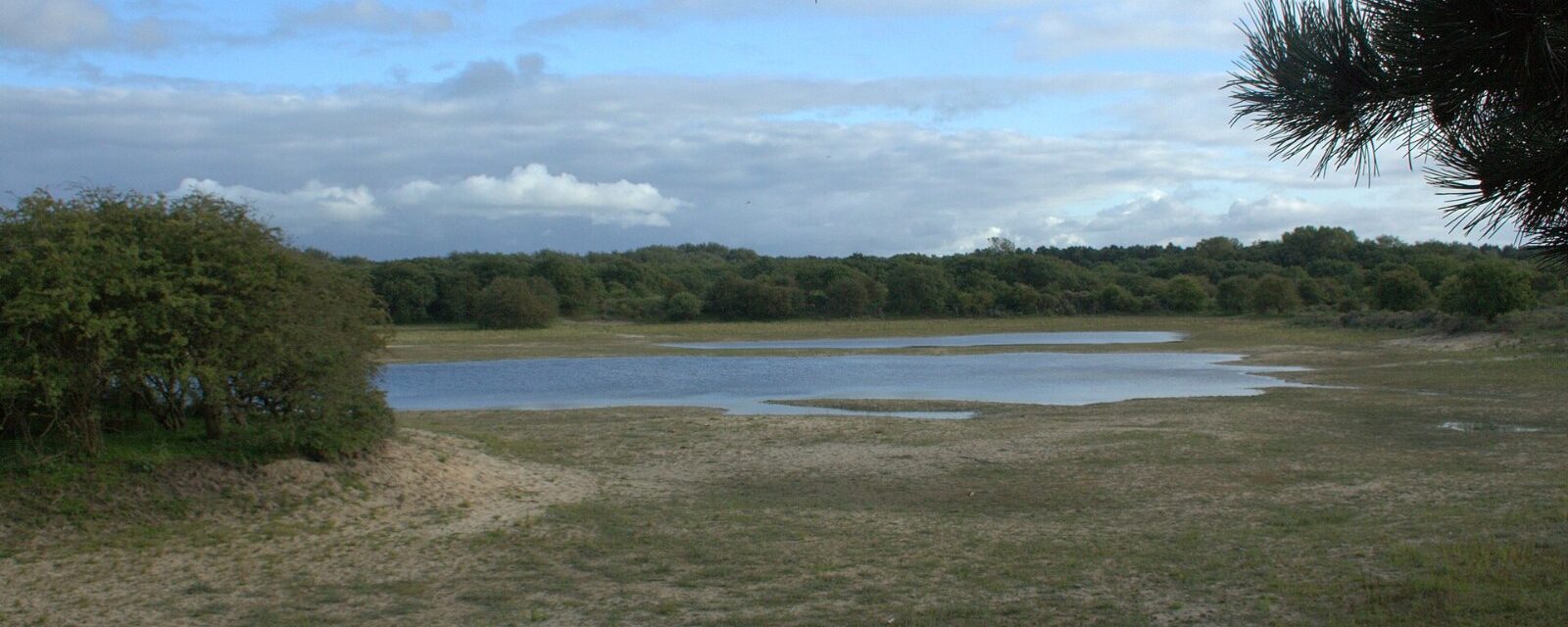 Duinmeertje in het Noordhollands Duinreservaat bij Bakkum