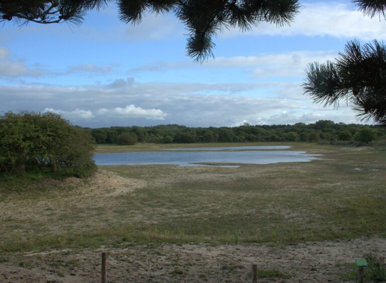Duinmeertje in het Noordhollands Duinreservaat bij Bakkum.