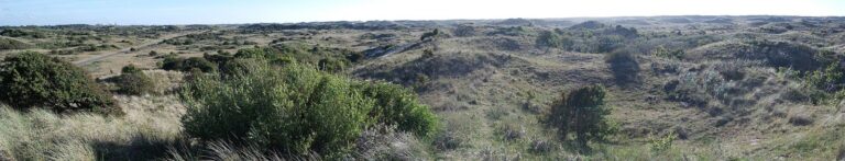 Panorama over het duinlandschap.