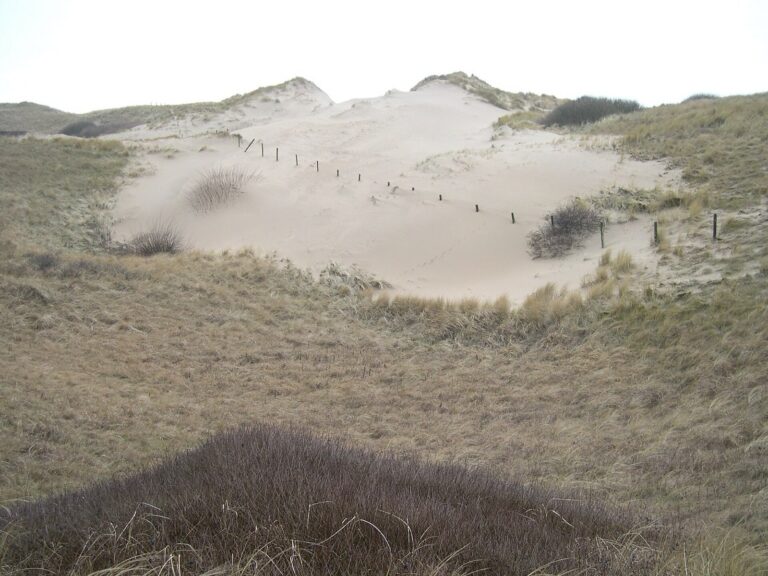 Stuifduin in het reservaat.