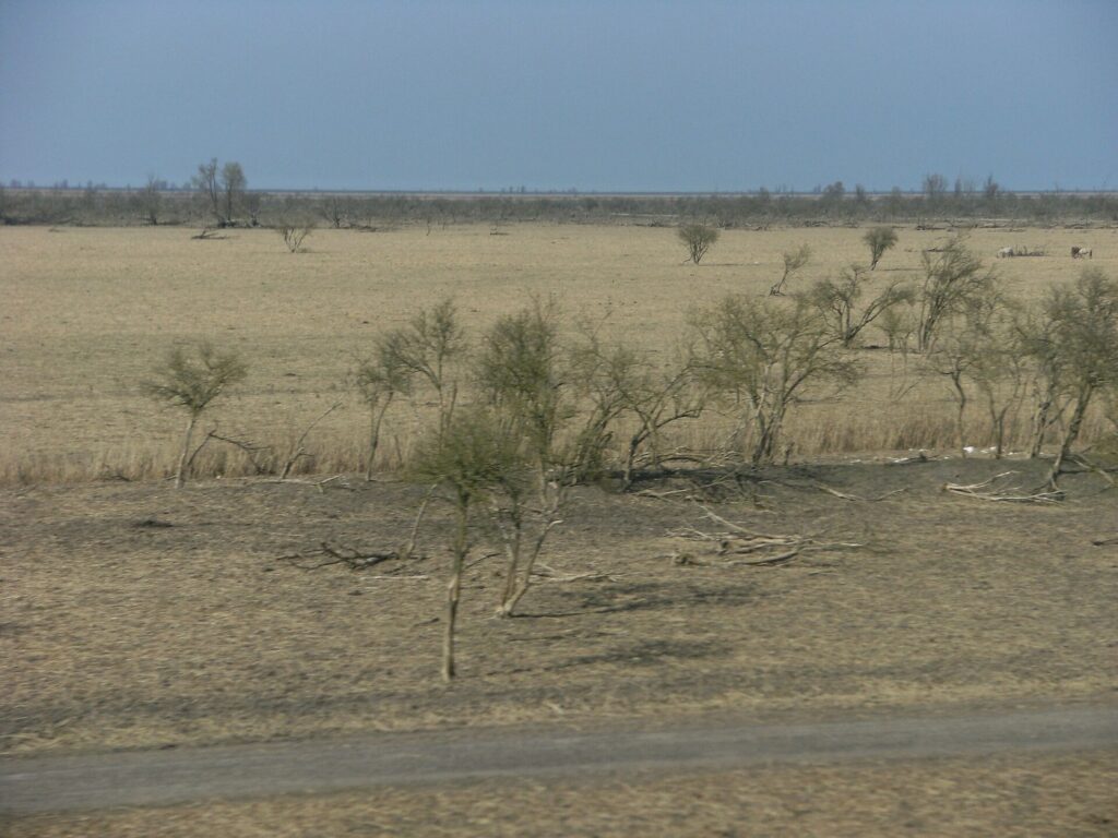 Het open landschap bij de Oostvaardersplassen gezien vanuit de trein tussen Almere en Lelystad