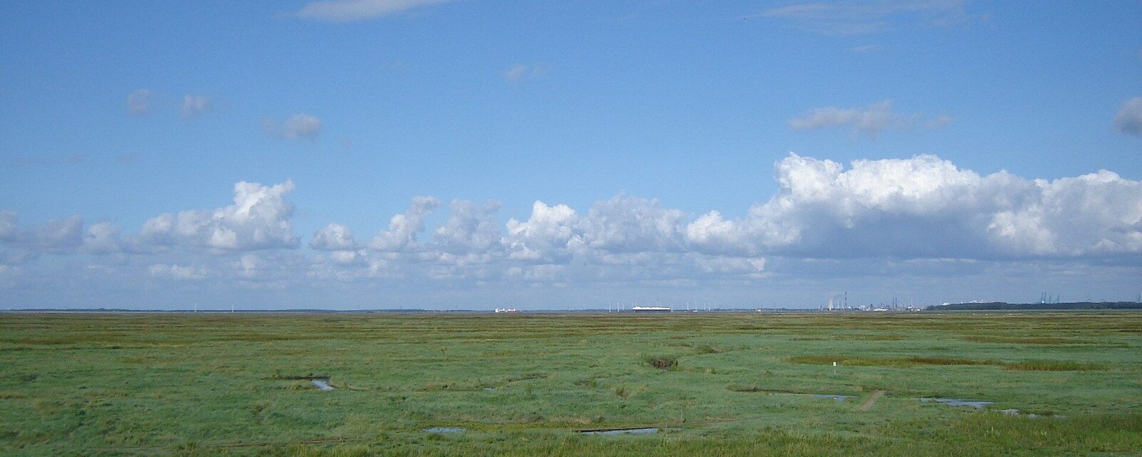 Het Verdronken Land van Saeftinghe: schor tot aan de horizon, zonder bomen of beschutting.