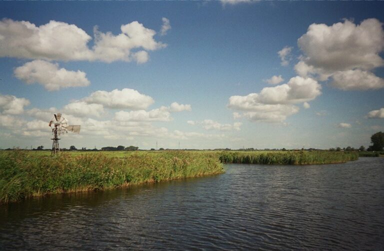 Water en rietkragen; veel percelen zijn alleen over water bereikbaar.