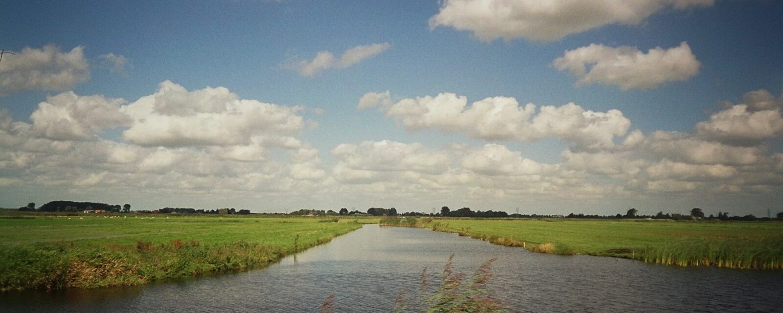 Veenweiden in het Wormer- en Jisperveld