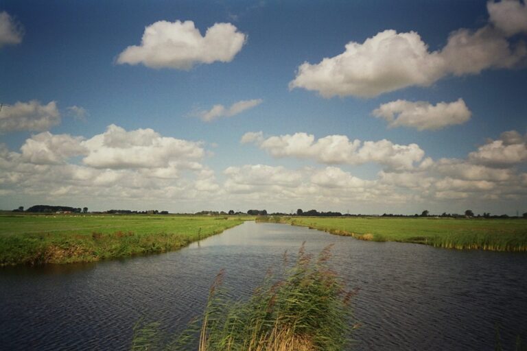 De weilandjes van het Wormer- en Jisperveld, een tot twee meter onder zeeniveau.