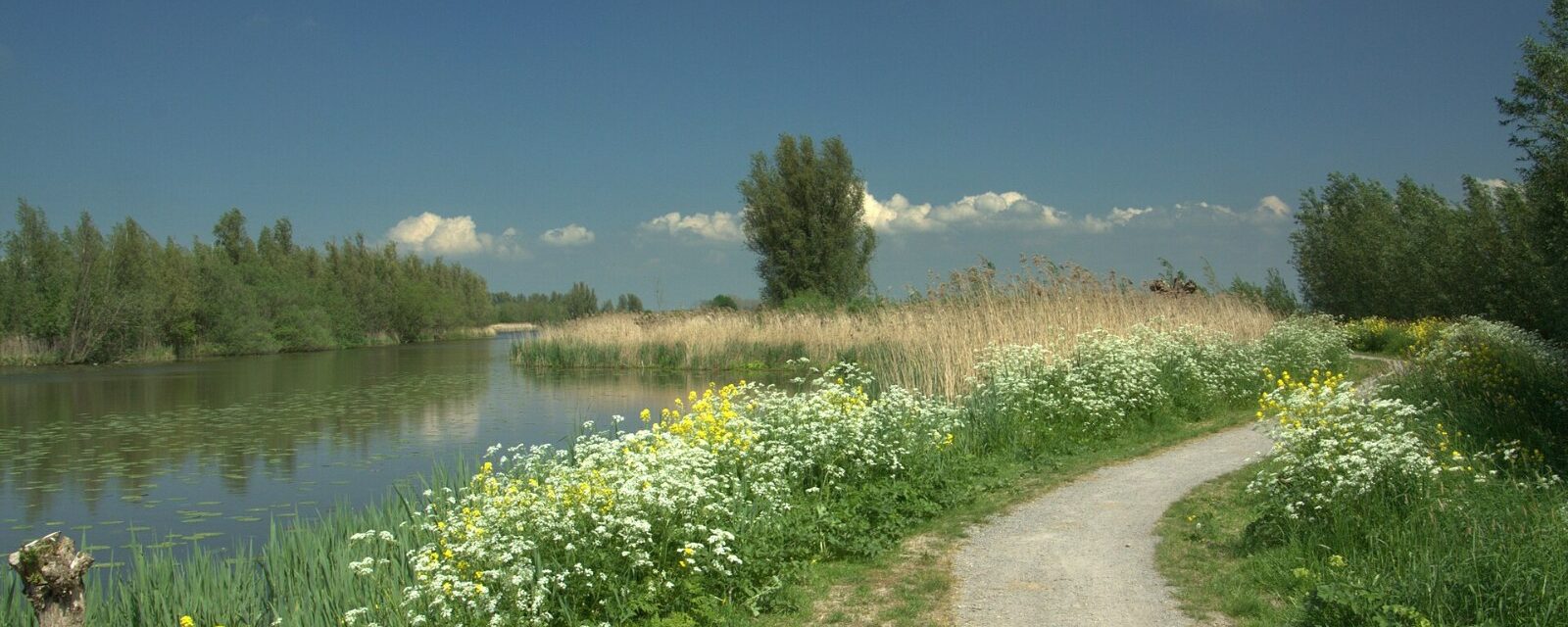 De Zederikkade langs de Zouweboezem bij Meerkerk