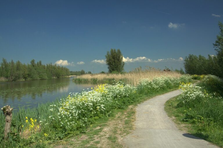 De Zederikkade langs de Zouweboezem.